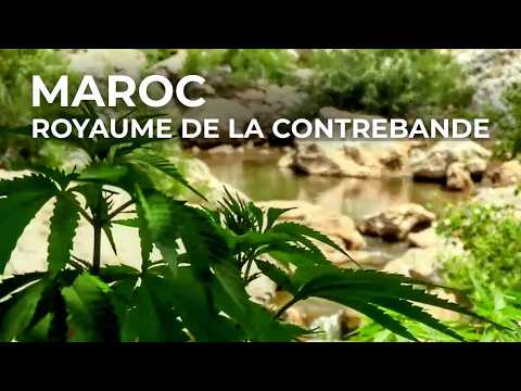 Maroc : j'infiltre un réseau de trafiquants