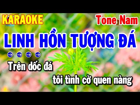 Linh Hồn Tượng Đá Karaoke Tone Nam Nhạc Sống Chuẩn 2025 Dễ Hát | Thanh Hải