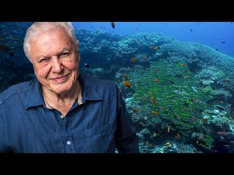 David Attenborough Explores Earth’s Greatest Wonders (4K Documentary)