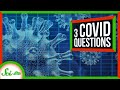 Understanding COVID-19: Mysteries and Insights