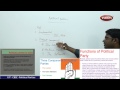 Political Party Functions and Roles