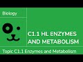 Enzyme Inhibition and Metabolic Pathways