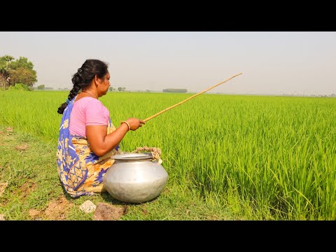 Fishing video | Best Hook Fishing | The joy of fishing in a paddy field is different | village girl