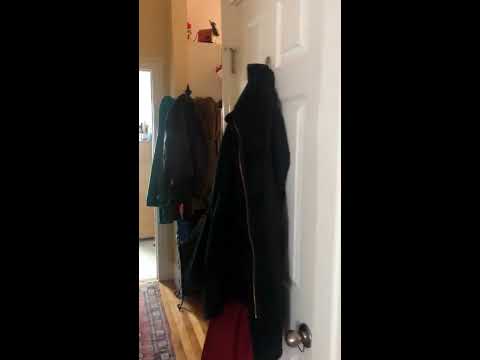 Apartment Video