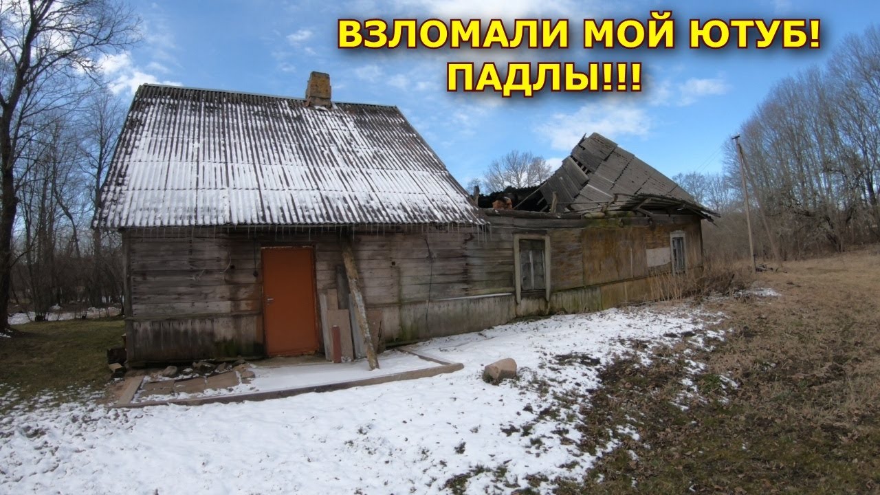 Такого еще не видел они полезли из под земли одна за одной