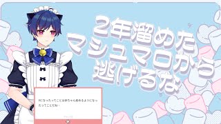 2年間溜めたマシュマロから逃げるな
