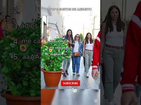 Top 5 Mejores Sustos Del Arbusto😂 #bromas #bromasdivertidas #bromastelefonicas #bromaspesadas #risas