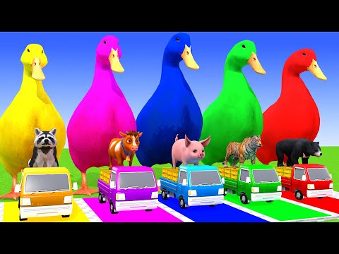 5 Giant Duck & Wild Animals Cage Game Cow Gorilla Rhinoceros Elephant Sheep Crossing Fountain