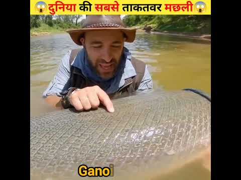 दुनिया की सबसे ताकतवर मछली #facts #trending #fishing #dangerous #fish #interesting @fact 197 #shorts