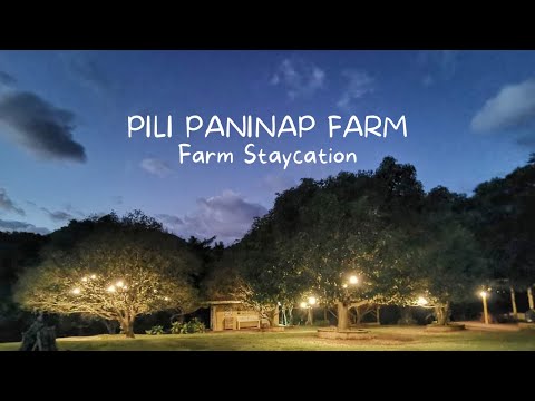 Pili Paninap Farm