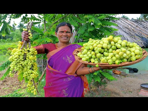 Couseberry Thokku Recipe | Village Style Pickle Making | Side Dish For Curd Rice | Side Dish Recipes