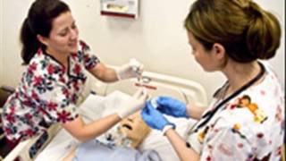 nevada state board of nursing