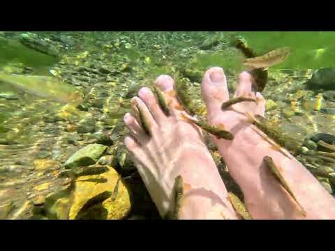 Sivas Kangal Doğal Balıklı Çermik (Kaplıca) @GoPro @GoProWorldOfficial