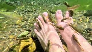 Sivas Kangal Doğal Balıklı Çermik (Kaplıca) @GoPro @GoProWorldOfficial