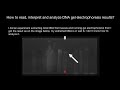DNA Sample Analysis and Contamination