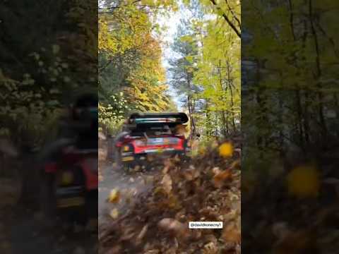 Lappi buenos recuerdos, al 100 #rally #wrc #racing #rallyracing #motorsport