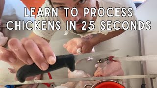Chicken Evisceration Tutorial (25 seconds per bird) #chicken #butchering #regenerativeagriculture