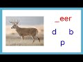 Identifying Beginning Consonant Sounds