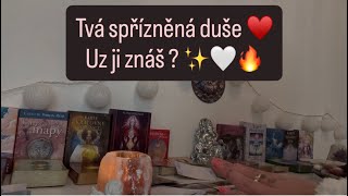Tvá spřízněna duše! Uz ji znáš? #budoucnost #horoskop 