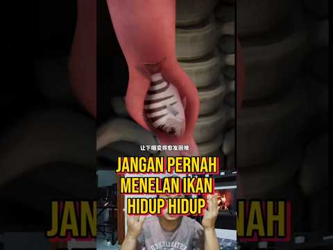 JANGAN PERNAH MENELAN IKAN HIDUP HIDUP #kisahnyata #fakta
