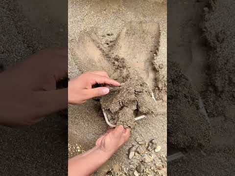 Crazy.,😱‼️discovery of gold dust in inland rivers carried by flash waters. #golddiscovery #goldrush