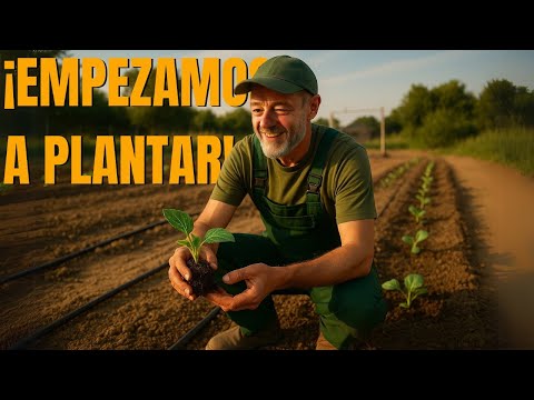 ¡Primeras plantas en el huerto!.. Comienza la siembra regenerativa