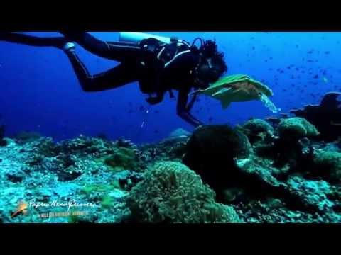 Papua New Guinea in One Word