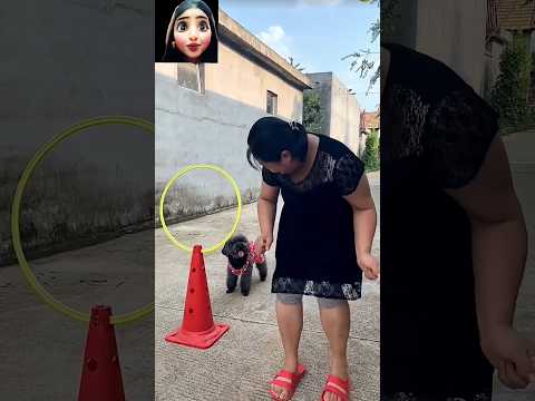 شوفوا👀طريقه تدرين الكلاب علي النط