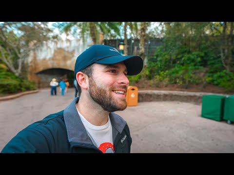 We experienced a very rare day at Disney world