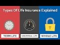 Types and Features of Life Insurance