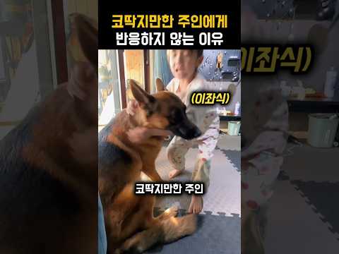 강약약강 코딱지