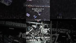 🏆 RUNDE 2 🏆 🔥 HERTHA BSC 🆚 HAMBURGER SV🔥⚽ DEUTSCHLANDS FANGESANGS-BATTLE! ⚽