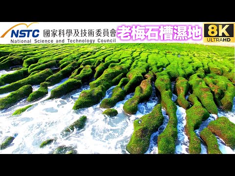 自然台灣-老梅石槽濕地  Natural Taiwan- Laomei Shitao - YouTube(1:52)