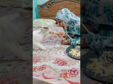 আমগো টাকা দিয়া মুরগির রান খাছ দারা😰 #cat #anmals #sandy #trending #viral #share #shorts #fyp