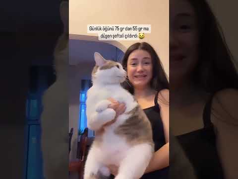 Onu yeme bunu yeme ne yiyeceğim ben 😻 #cat #catlovers #kedi #catlover 🎥yürüyen_mantarr