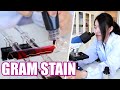 Gram Staining Techniques and Concepts