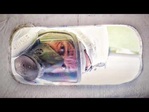 Cutting 10 Huge Holes in a Perfectly Good Hull… Are we crazy? | Step 446