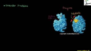 More on Classification of Proteins