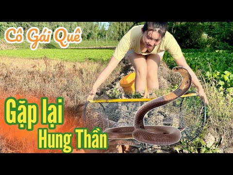 Cô Gái Quê ✅ Chạm Mặt kẻ Thù Không Hẹn Mà Gặp