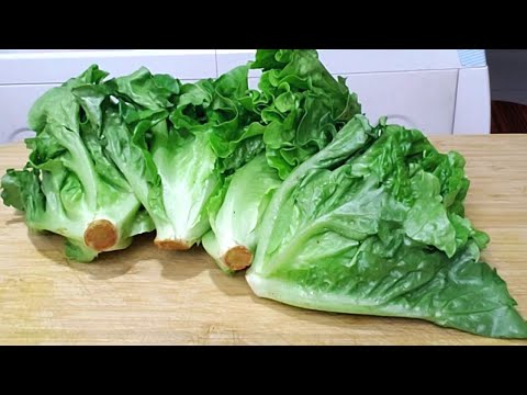 SAYUR SELADA SEBAIKNYA DIMASAK SEPERTI INI,SEHAT DAN LEBIH ENAK,LEZATNYA BIKIN NAGIH!!!
