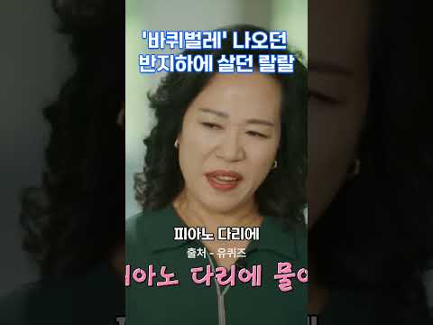 바퀴벌레' 나오던 반지하에 살던 랄랄 #랄랄 #성공 #동기부여