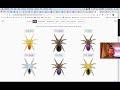 Proteins and Trait Variations