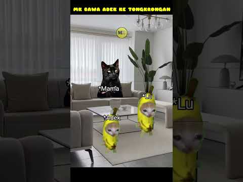 Teman lucknut🗿 #meme #kucing #kucingmeow #meow #youtubeshorts