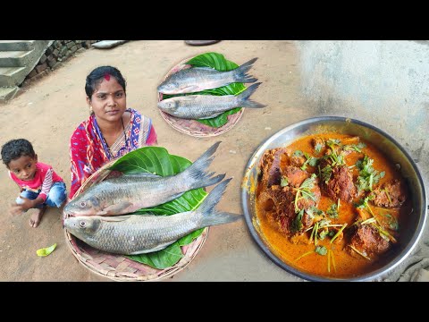 River Kalachi Fish Curry Recipe | Bleck Fish Cooking| Village Cooking