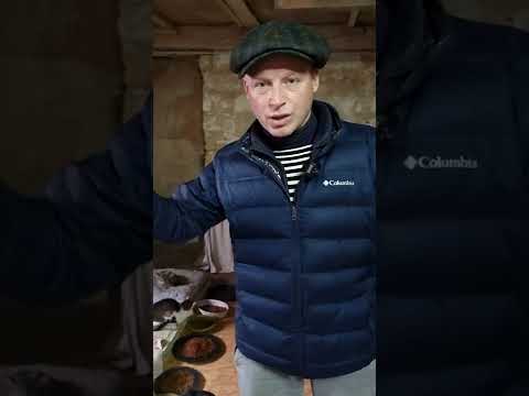 Коты войны Одесса #shorts
