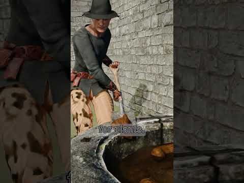 Why Ancient Toilets Were So Dangerous? 🚽🗡️