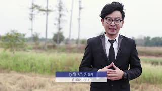 ถั่วป่านทอง ประชารัฐร้อยเอ็ด