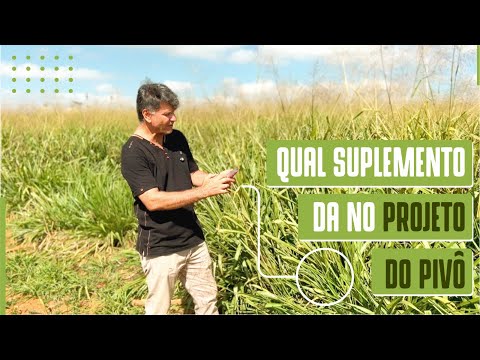 QUAL SUPLEMENTO DA NO PROJETO DO PIVÔ