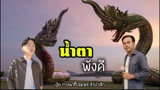 น้ำตาพังคี(ນໍ້າຕາພັງຄີ)ตู้ย กลางนา ft สมพร จำปาสัก(#มาแรงในtiktok 