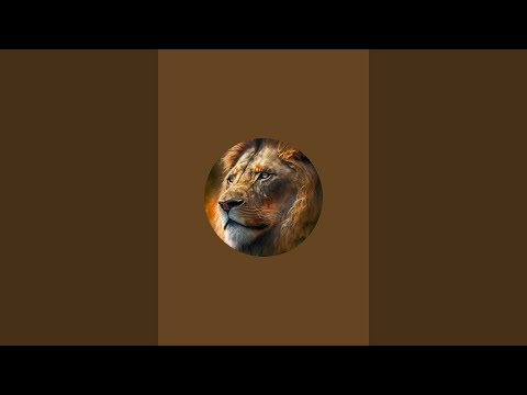 Seguidores de Jesus está ao vivo! MAIS PERTO DO PAI NO DESERTO!!!